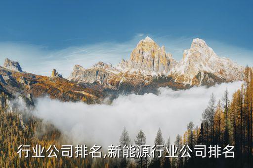 行业公司排名,新能源行业公司排名