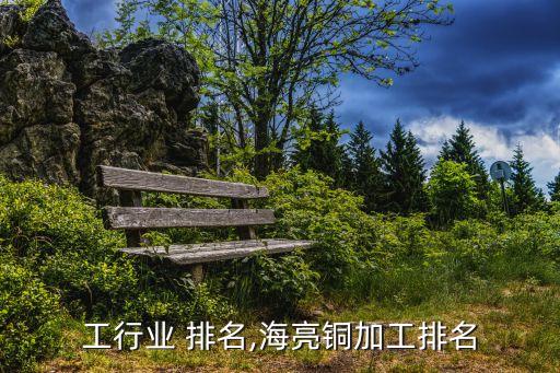 铜加工行业 排名,海亮铜加工排名