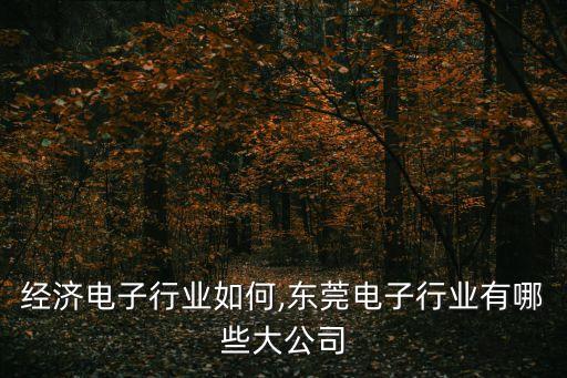 经济电子行业如何,东莞电子行业有哪些大公司