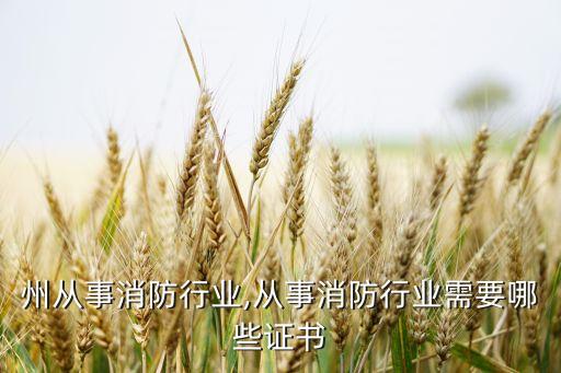 州从事消防行业,从事消防行业需要哪些证书