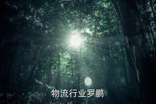 物流行业罗鹏