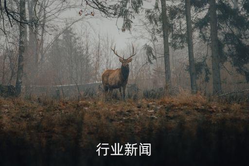 香料行业新闻