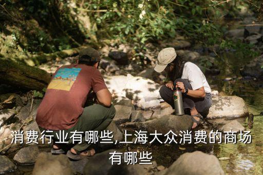 消费行业有哪些,上海大众消费的商场有哪些