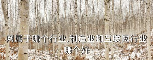 互联网属于哪个行业,制造业和互联网行业哪个好