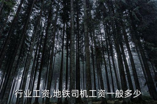 行业工资,地铁司机工资一般多少
