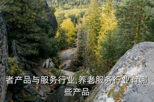 消费者产品与服务行业,养老服务行业有哪些产品