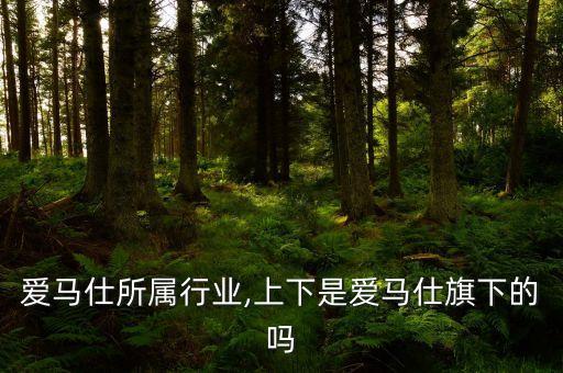 上下爱马仕所属行业,上下是爱马仕旗下的吗