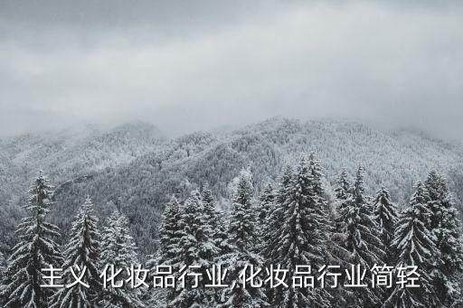轻奢主义 化妆品行业,化妆品行业简轻