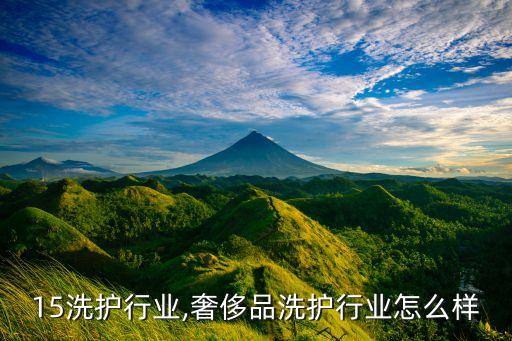 15洗护行业,奢侈品洗护行业怎么样