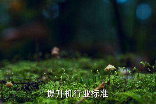 提升机行业标准