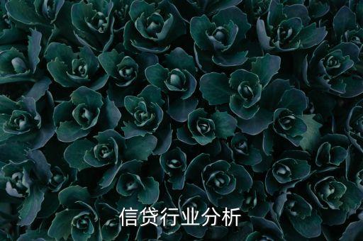 信贷行业分析