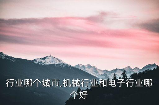 行业哪个城市,机械行业和电子行业哪个好