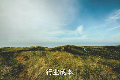 行业成本