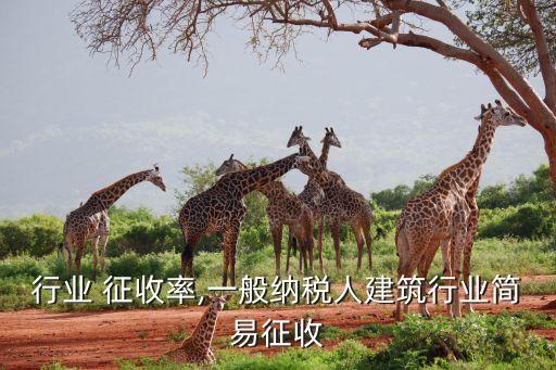 行业 征收率,一般纳税人建筑行业简易征收