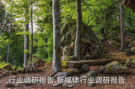 美发行业调研报告,新媒体行业调研报告