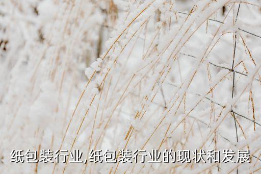 纸包装行业,纸包装行业的现状和发展