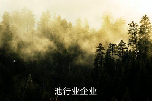 锂电池行业企业