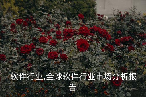 全球 软件行业,全球软件行业市场分析报告