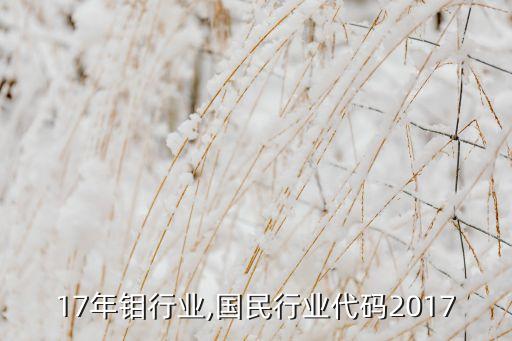 17年钼行业,国民行业代码2017