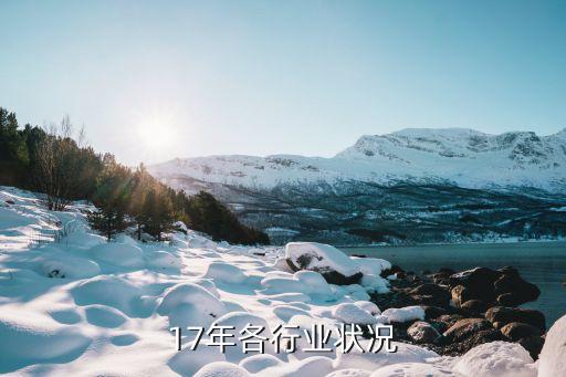 17年各行业状况