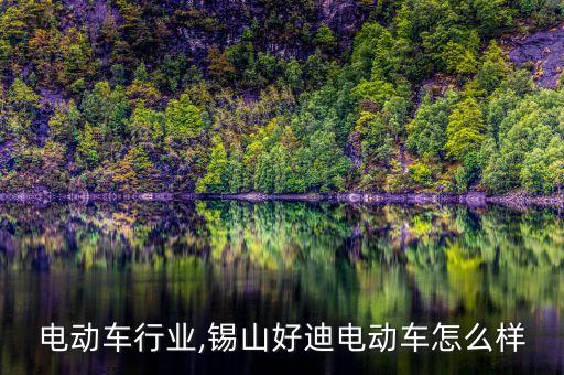 锡山电动车行业,锡山好迪电动车怎么样