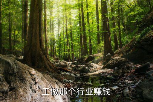 工做那个行业赚钱