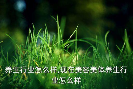 养生行业怎么样,现在美容美体养生行业怎么样