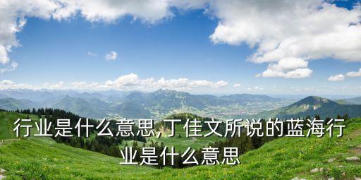 蓝海行业是什么意思,丁佳文所说的蓝海行业是什么意思