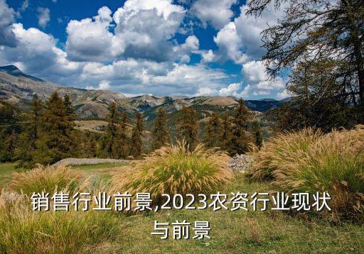 销售行业前景,2023农资行业现状与前景