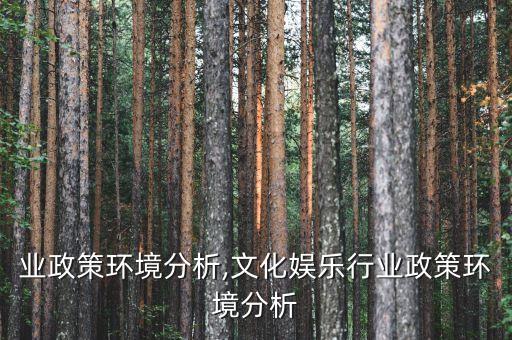 鞋行业政策环境分析,文化娱乐行业政策环境分析