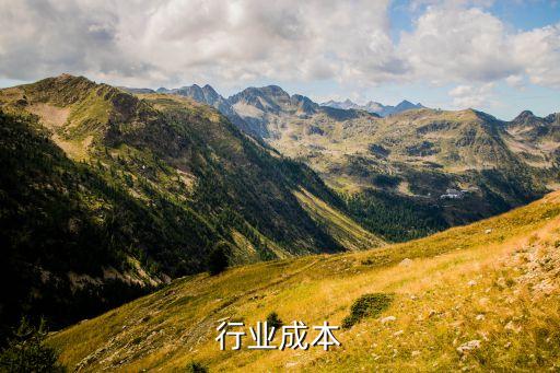行业成本