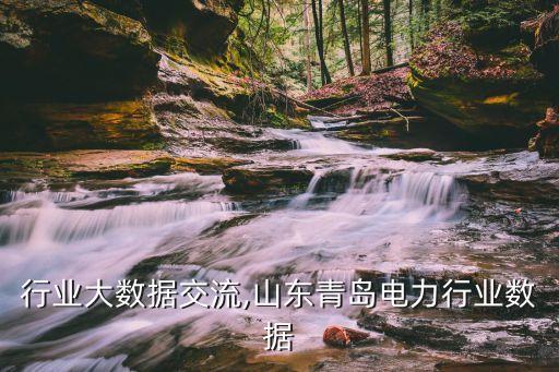 电力行业大数据交流,山东青岛电力行业数据