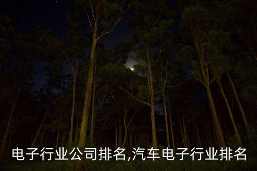 全球电子行业公司排名,汽车电子行业排名