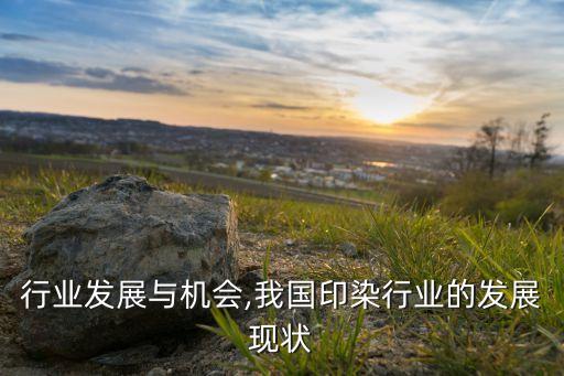 行业发展与机会,我国印染行业的发展现状