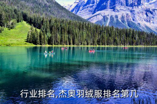  行业排名,杰奥羽绒服排名第几