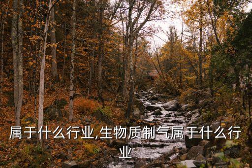 属于什么行业,生物质制气属于什么行业