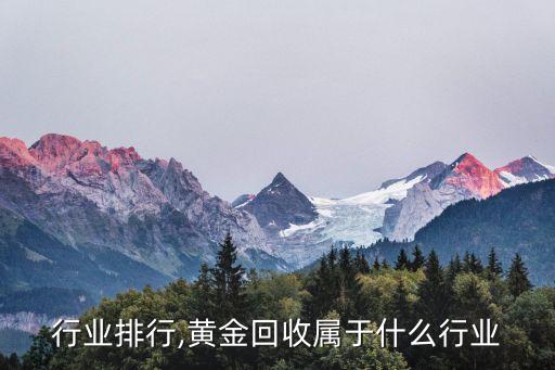 黄金行业排行,黄金回收属于什么行业
