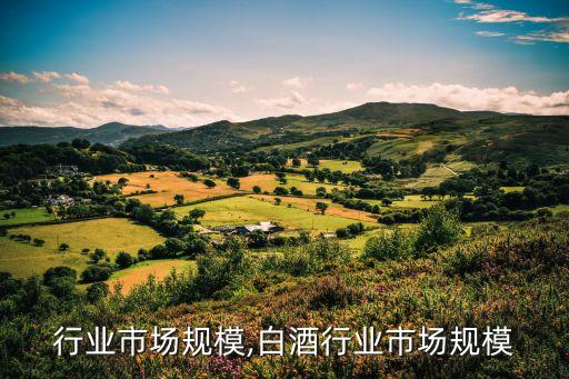 行业市场规模,白酒行业市场规模
