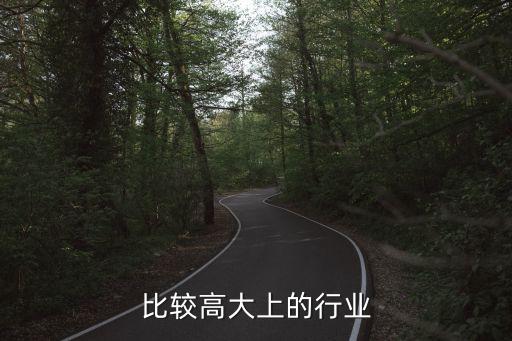 比较高大上的行业