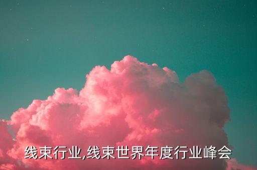 苏州线束行业,线束世界年度行业峰会