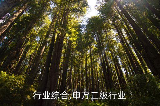 行业综合,申万二级行业
