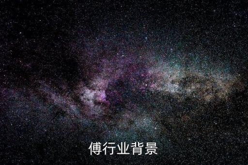 傅行业背景