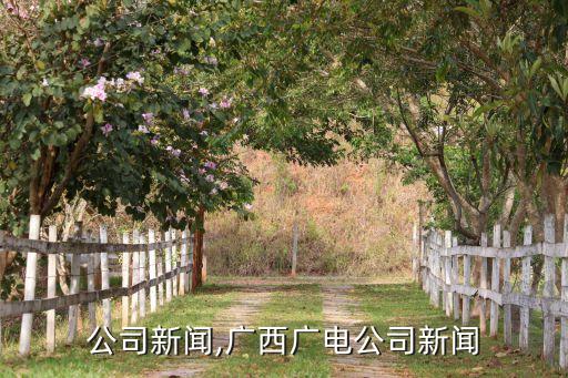 行业公司新闻,广西广电公司新闻
