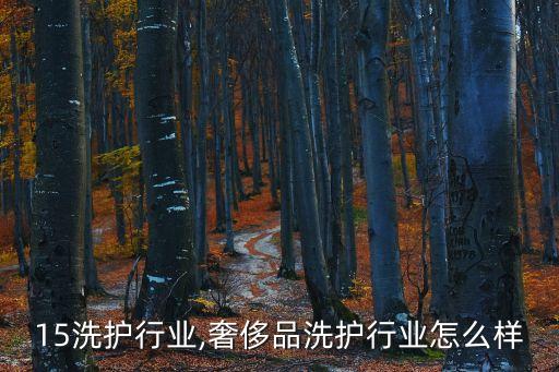 2015洗护行业,奢侈品洗护行业怎么样