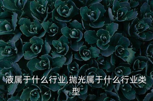 液属于什么行业,抛光属于什么行业类型