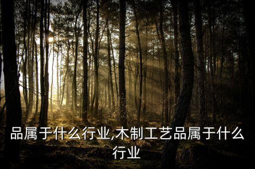 品属于什么行业,木制工艺品属于什么行业