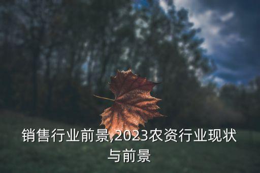 销售行业前景,2023农资行业现状与前景