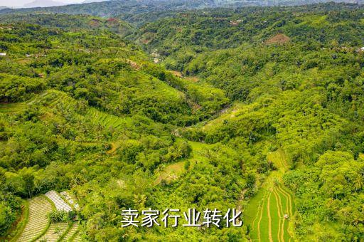 卖家行业转化