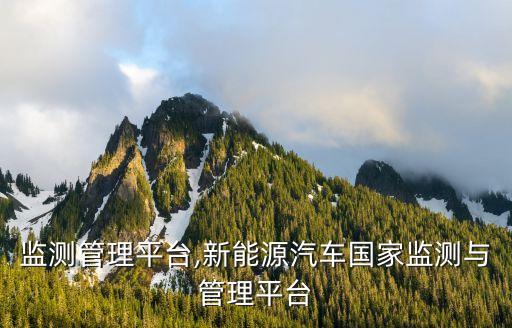 行业监测管理平台,新能源汽车国家监测与管理平台