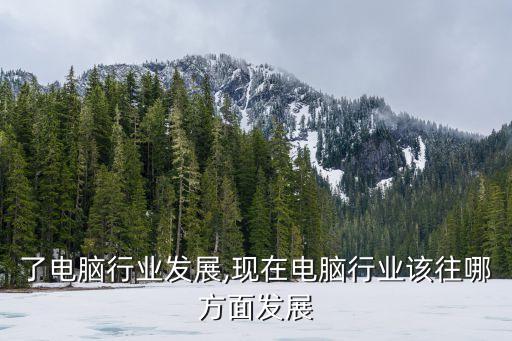 促进了电脑行业发展,现在电脑行业该往哪方面发展